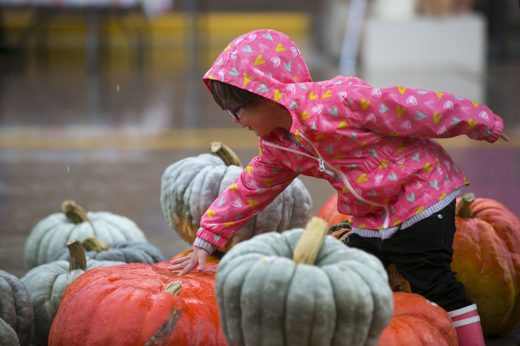 Fall fans brave rain at Harvest Festival